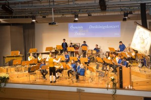 Dreikoenigskonzert2016-12